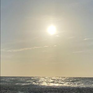 Meet your Posher, Angelee